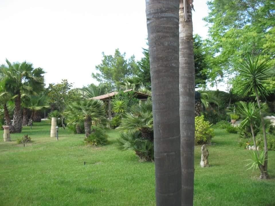 Villa Cecilia Matino Eksteriør bilde